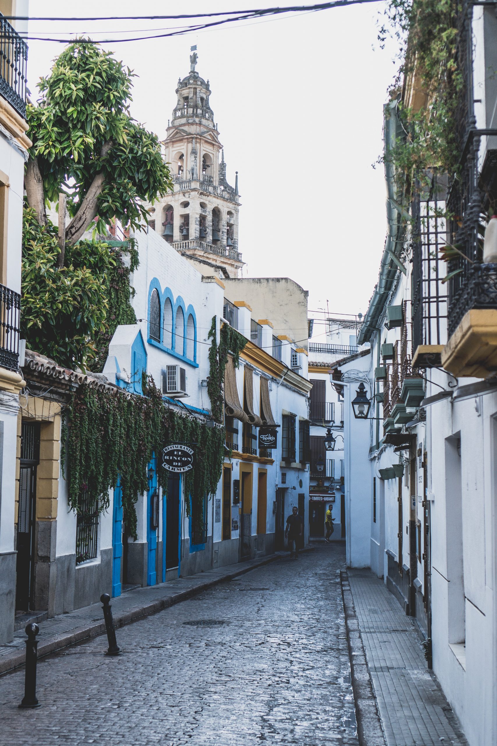 The beautiful streets of La Judería, with in the back ground the cathedral of Córdoba. Extremely well to wander around during your day trip in Córdoba.  